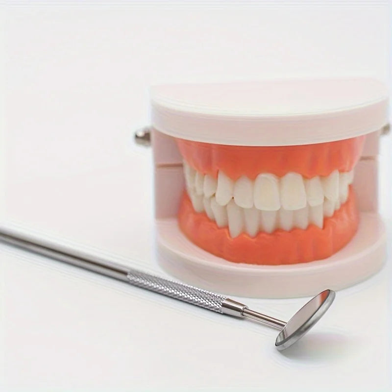 Stainless Steel Oral Cleaning Tool Set with Storage Box - No Odor