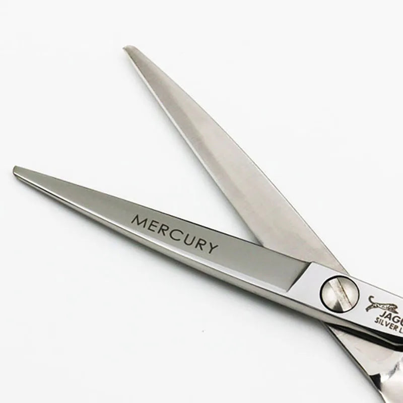 Professional Hairdressing Scissors Set 4 Sizes Stainless Steel Barber Shears