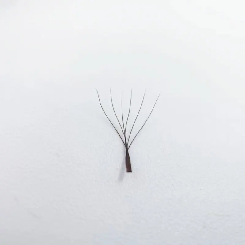 Supmacio Deep Brown 3D/4D/5D/6D Eyelash Extensions - Natural Soft Premade Fans