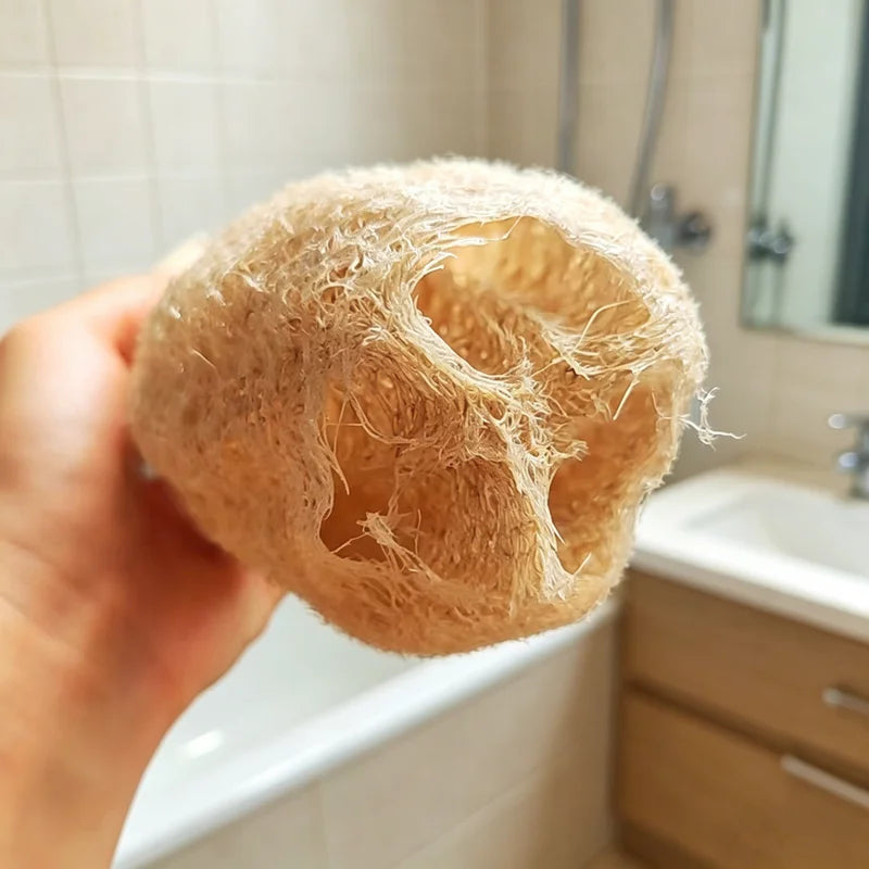 Natural Loofah Sponge Multi-Purpose Cleaning and Body Exfoliating Pad