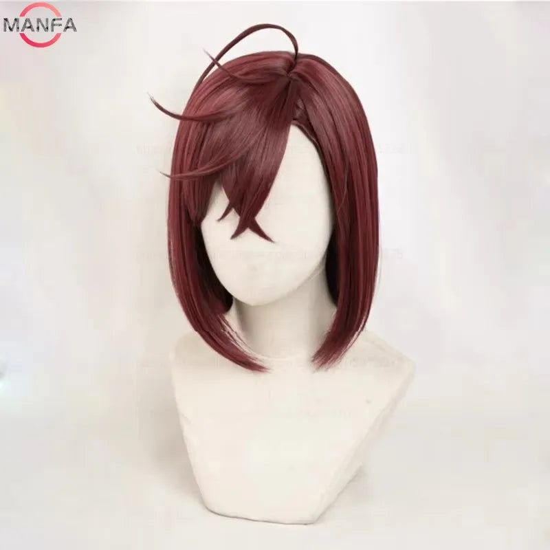Anime Cosplay Wigs for Women Men Short Heat-Resistant Hair Wigs with Cap