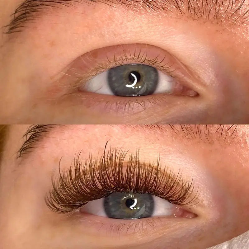 Premade Lash Extensions 500 Fans - Natural Dark Brown Volume Lashes