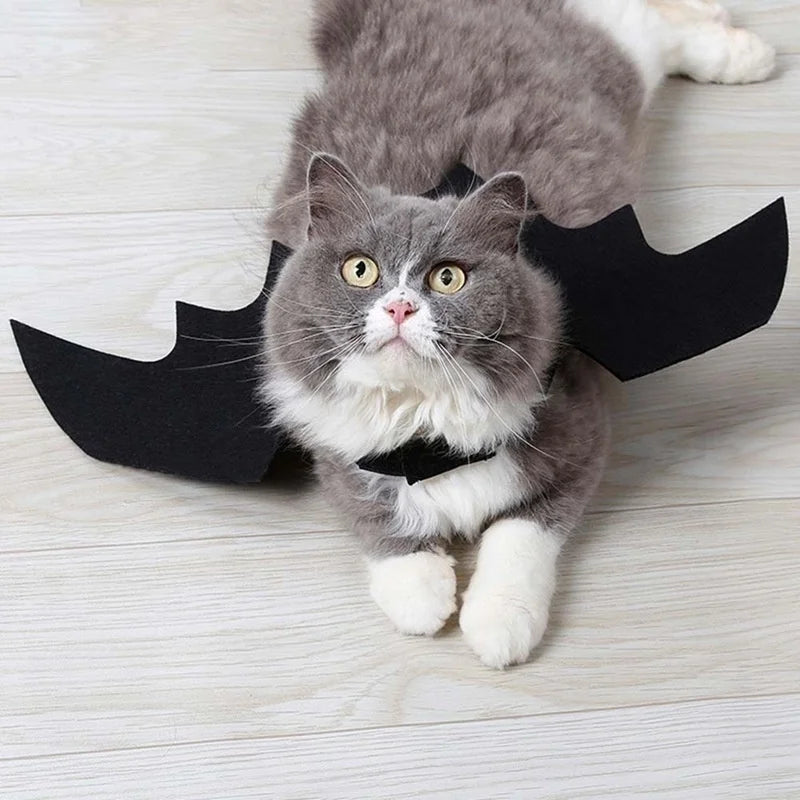 Pet Halloween Bat Wings Costume for Cats and Dogs - Black Cosplay Harness