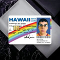 Waterproof Card Holder Set - 4-Piece PVC Pass and Credit Card Sleeves