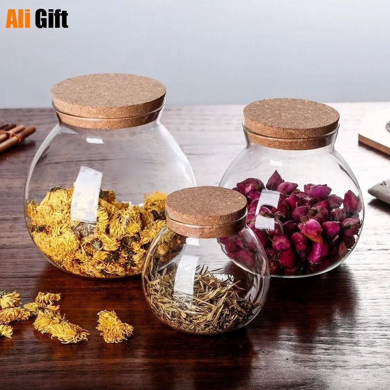 Micro Landscape Glass Bottle Vase with Wooden Lid - DIY Home Decor, Multiple Sizes