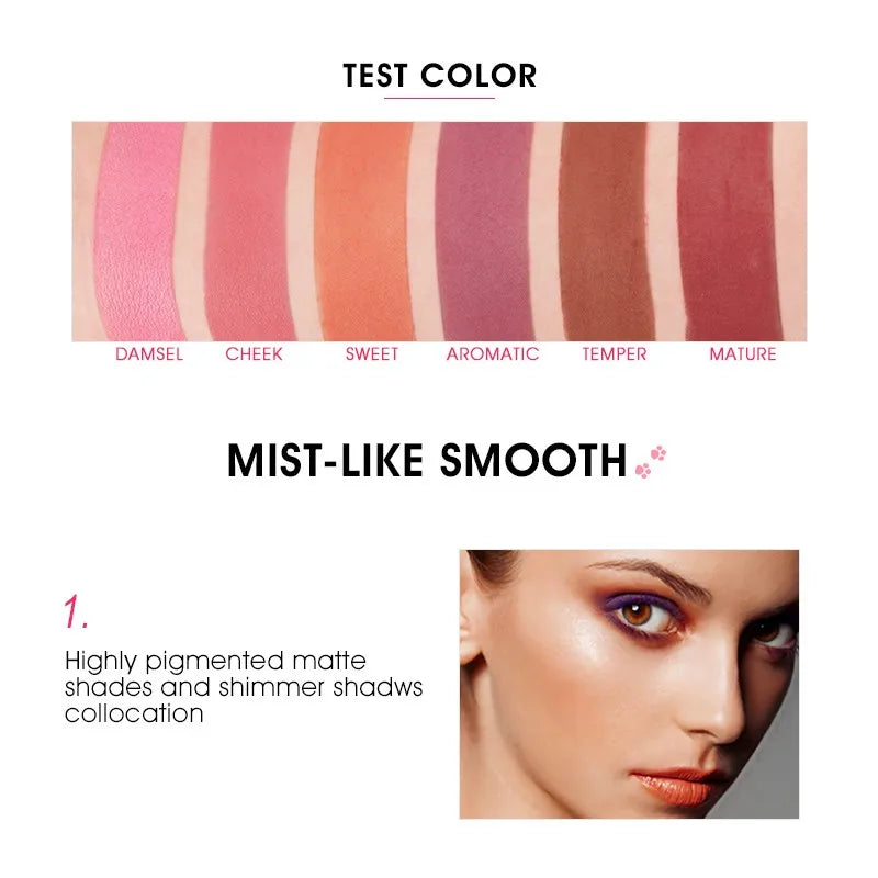 6-Color Blush Palette - Natural, Waterproof & Long-Lasting Makeup Kit