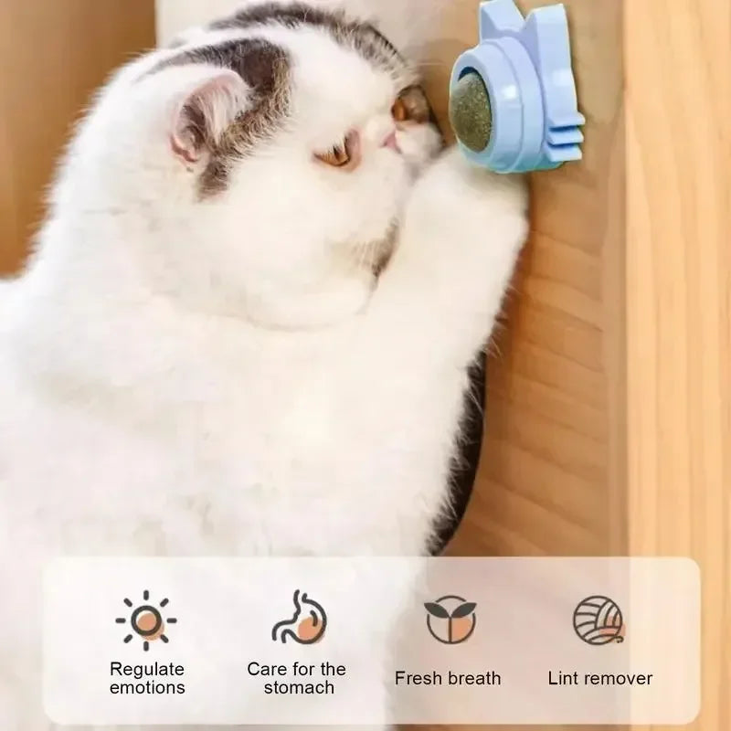 Rotatable Catnip Wall Scratcher Toys with Treats for Cats - Multiple Colors
