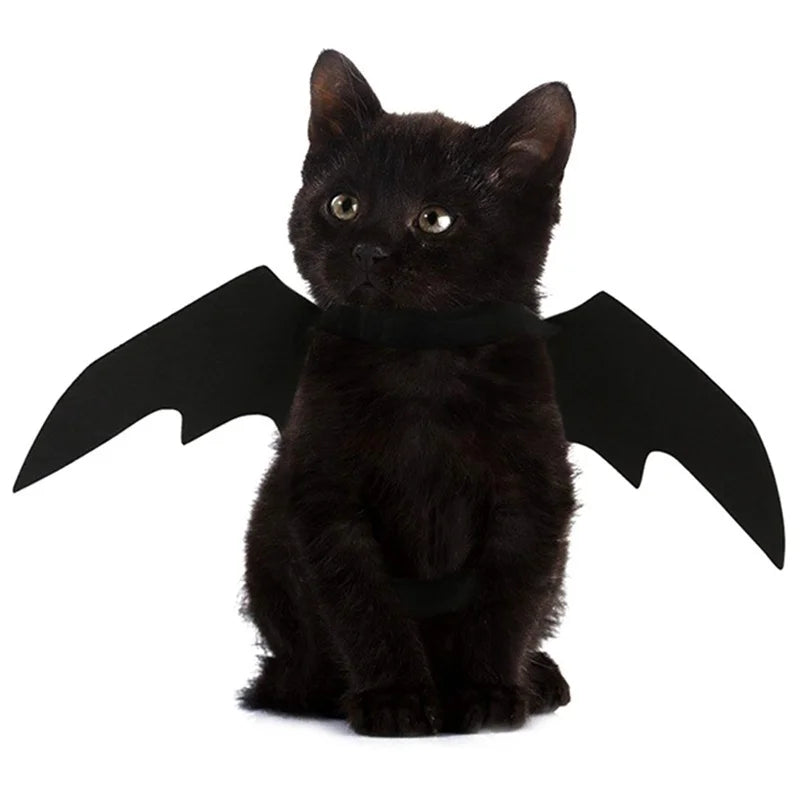 Pet Halloween Costume Black Bat Wings Harness for Cat Dog Cosplay
