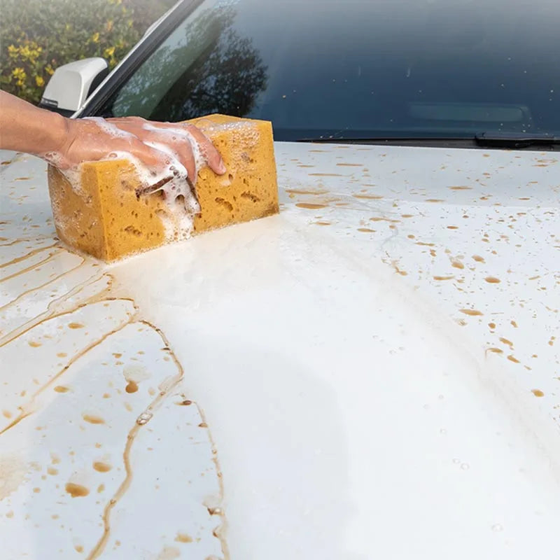 Large Honeycomb Car Washing Sponge for Auto Detailing & Motorcycle Cleaning