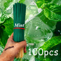 Aromatherapy Mint Stick with Multiple Scents for Home, Yoga, Meditation & Outdoors