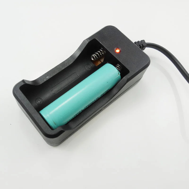 18650 Battery Charger EU Plug 2 Slot Fast Rechargeable Lithium Battery Power Adapter