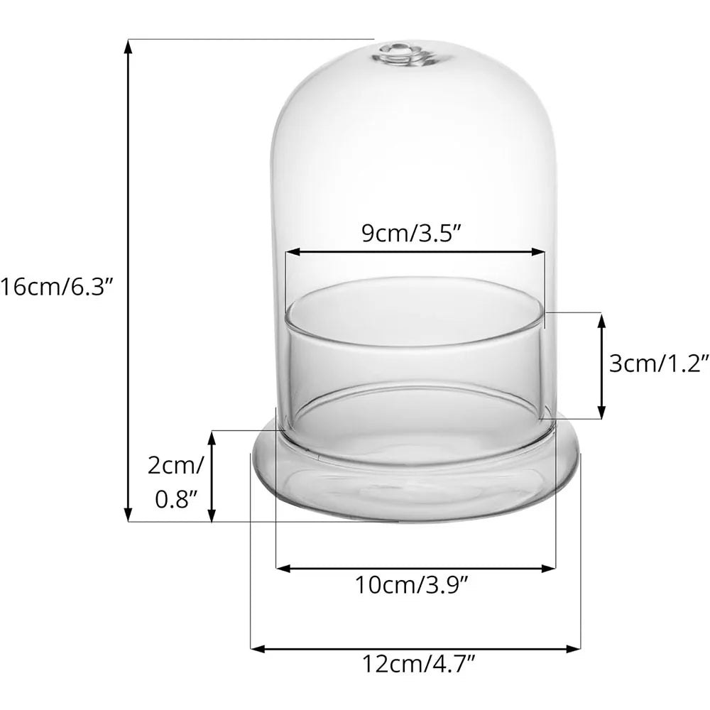 Clear Glass Dome with Airhole - Decorative Cloche Bell Jar with Base for Plant and Display