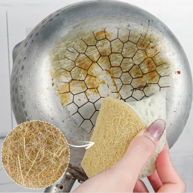 5pcs Agave Seaweed Kitchen Sponge Set - High Foam Dishwashing & Pot Scrubbing