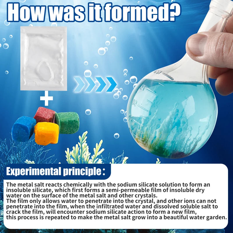DIY Water Growth Stones Kit - Science Educational Toys for Kids
