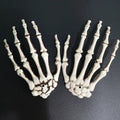 Realistic Skeleton Hand Props for Halloween Decorations - Life Size Plastic Bones