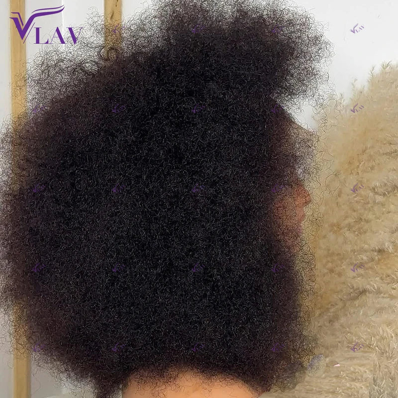 Glueless Human Hair Wigs 13x6 HD Lace Frontal & 360 Lace Wig Afro Kinky Curly