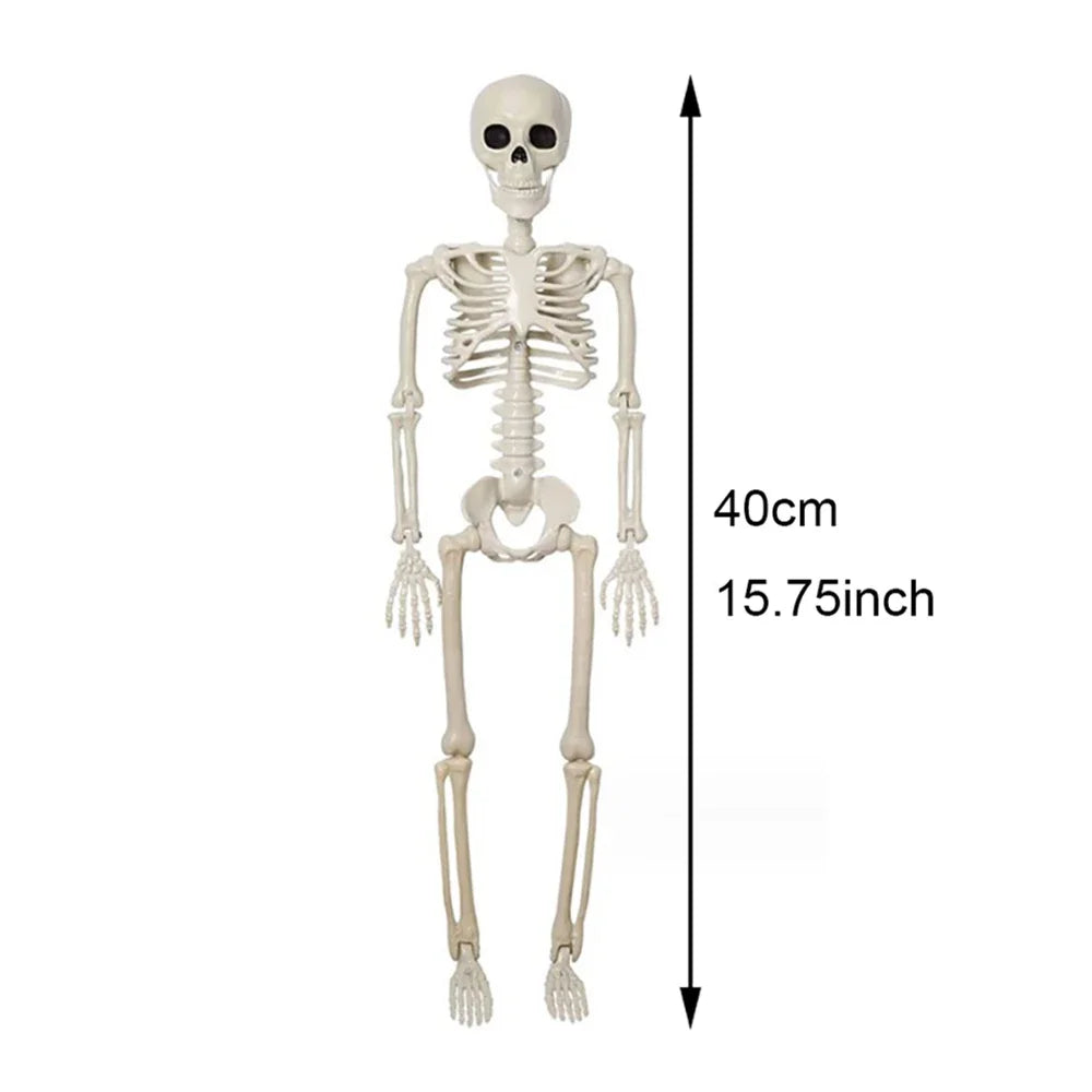 Halloween Human Skeleton Prop 40cm Posable Human Bone Skeleton Horror Decor