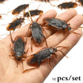 Fake Cockroach Prank Set - 10pcs Halloween Joke and Novelty Toy