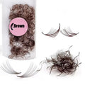 Premium 3D 12D Russian Volume Lash Extensions - Black & Silver, 14-15mm