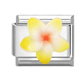 3D Star Flower Charm Bracelet Links for DIY Jewelry Making - Stainless Steel Women