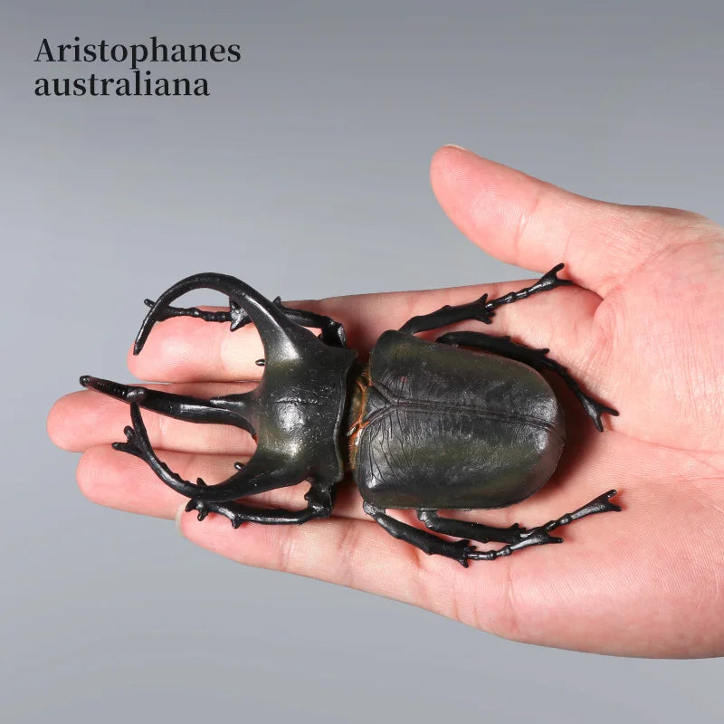 Educational Animal Model Toy - Unicorn Beetle Longhorned Bee Insect Figure for Kids