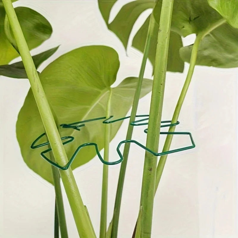 Large Hanging Plant Stand with Iron Hooks for Indoor and Outdoor Decoration