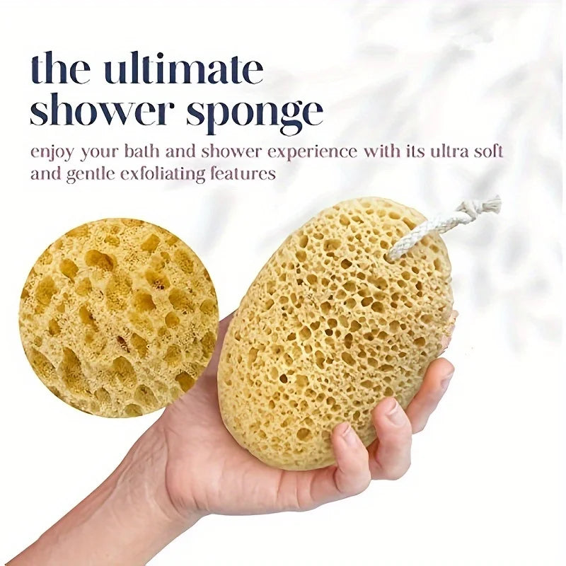 Natural Seaweed Bath Sponge with Honeycomb Texture - Exfoliating Body Scrubber for All Skin Types