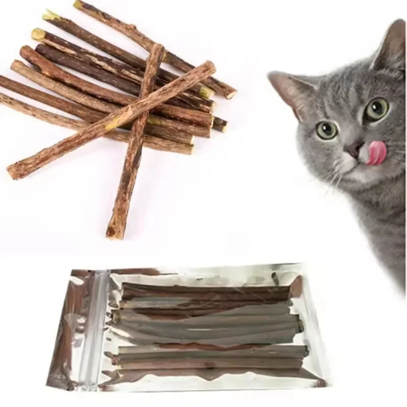 Natural Silvervine Chew Sticks for Cats Teeth Cleaning & Training - Kitten Teething Toy with Catnip Teaser