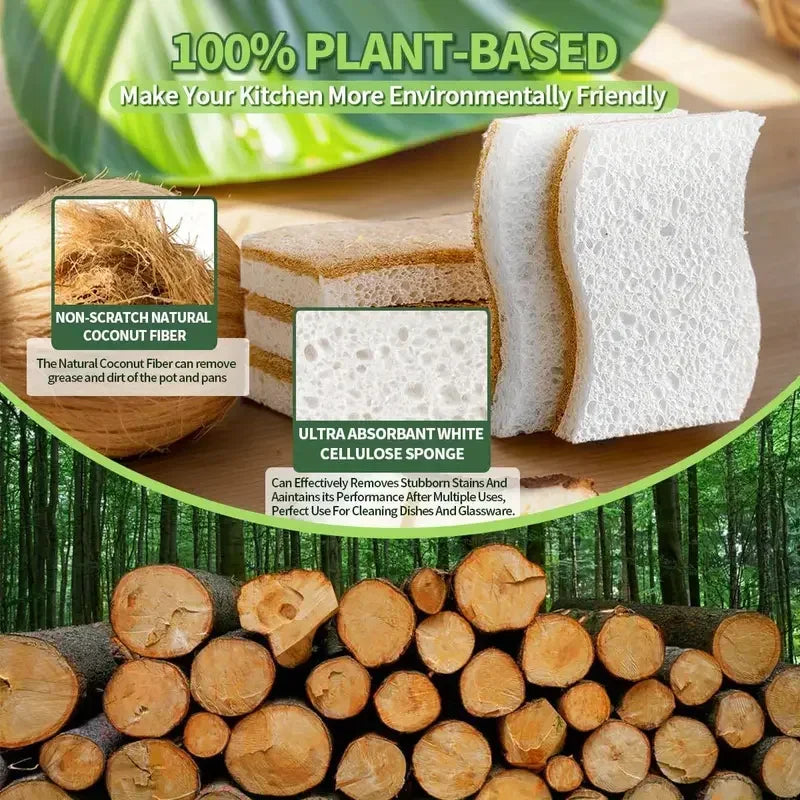 Natural Kitchen Sponges Cellulose & Coconut Scrubber Pack of 6/12 - Household Cleaning