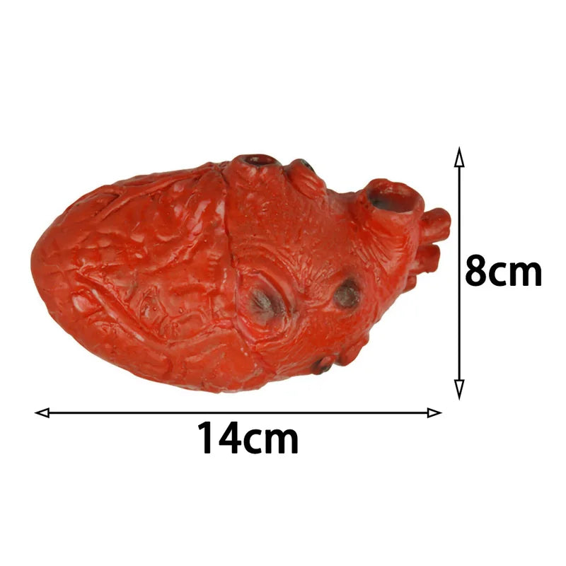 Halloween Bloody Severed Human Heart Fake Gory Body Part Decoration