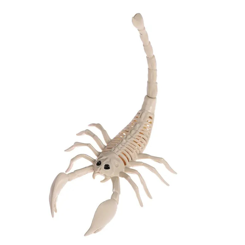 Halloween Animal Skeleton Bones Decor Set - Creepy Spider Bat Mouse Lizard Props
