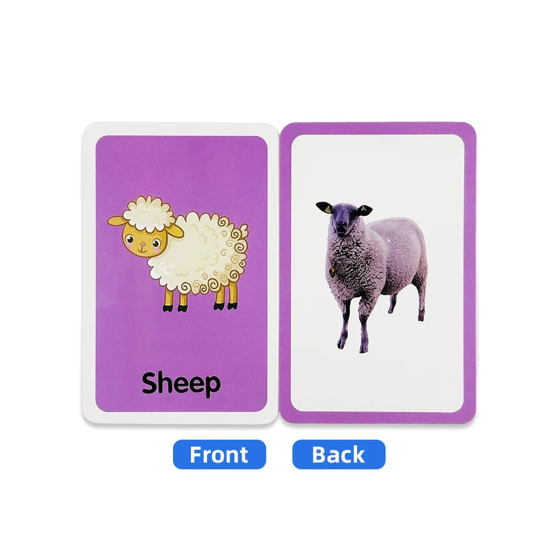 Double-Sided Animal Recognition Flash Cards for Kids Learning - 36 Pack