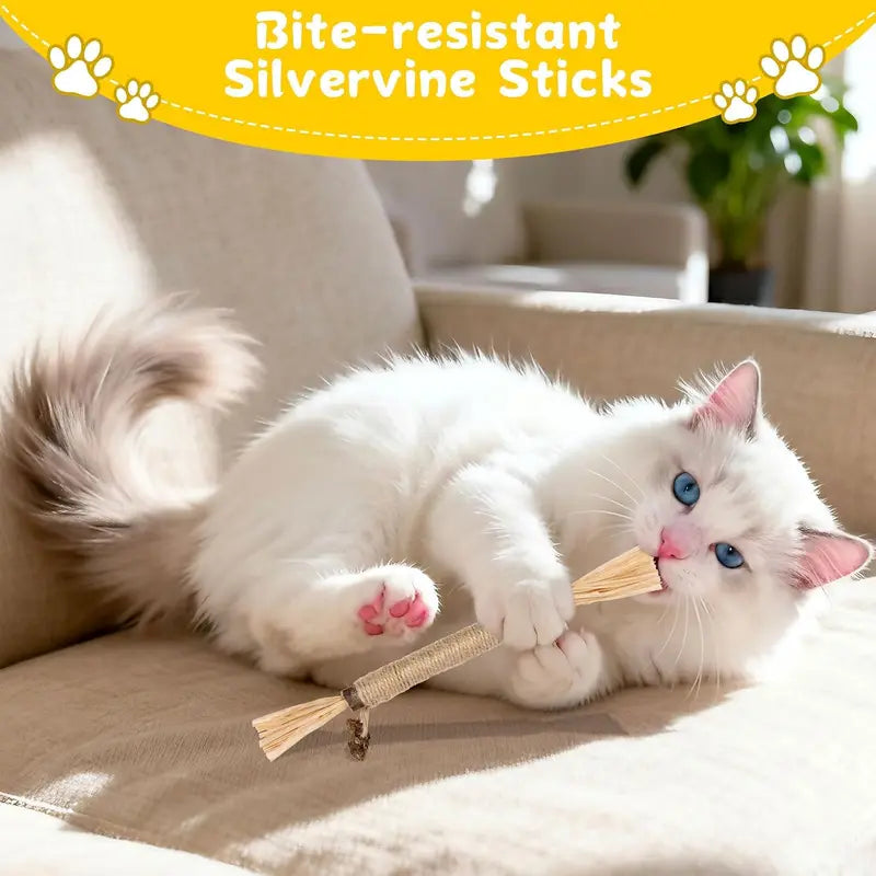 Silvervine Cat Chew Sticks Set - Natural Cat Toys for Dental Care & Play