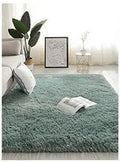 Indoor Plush Carpet for Living Room & Bedroom - Modern Minimalist Design, 800x1600mm