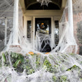 Halloween Spider Web Decorations with Fake Spiders, Stretch Cobwebs for Indoor Outdoor Party
