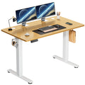 Electric Height Adjustable Standing Desk 40x24 Inch Sit-Stand Workstation