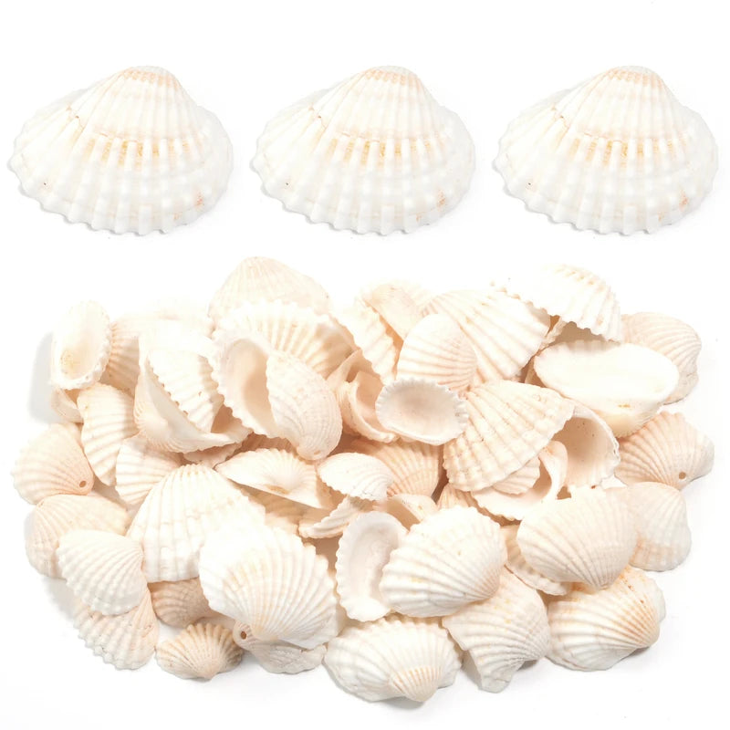Natural Sea Flower Snail Shell Beads for Jewelry Making Loose Spacer Beads DIY Crafts
