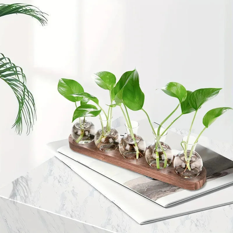 Glass Terrarium with Wooden Tray for Indoor Plants and Propagation