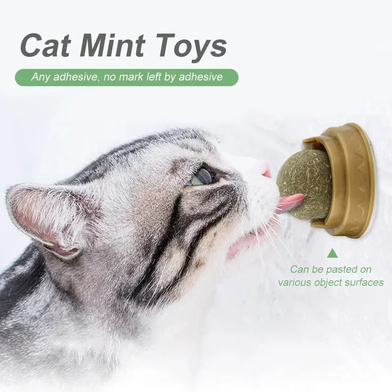 Pet Catnip Toys Ball Set Edible Catnip for Cats Safe Healthy Chasing Play