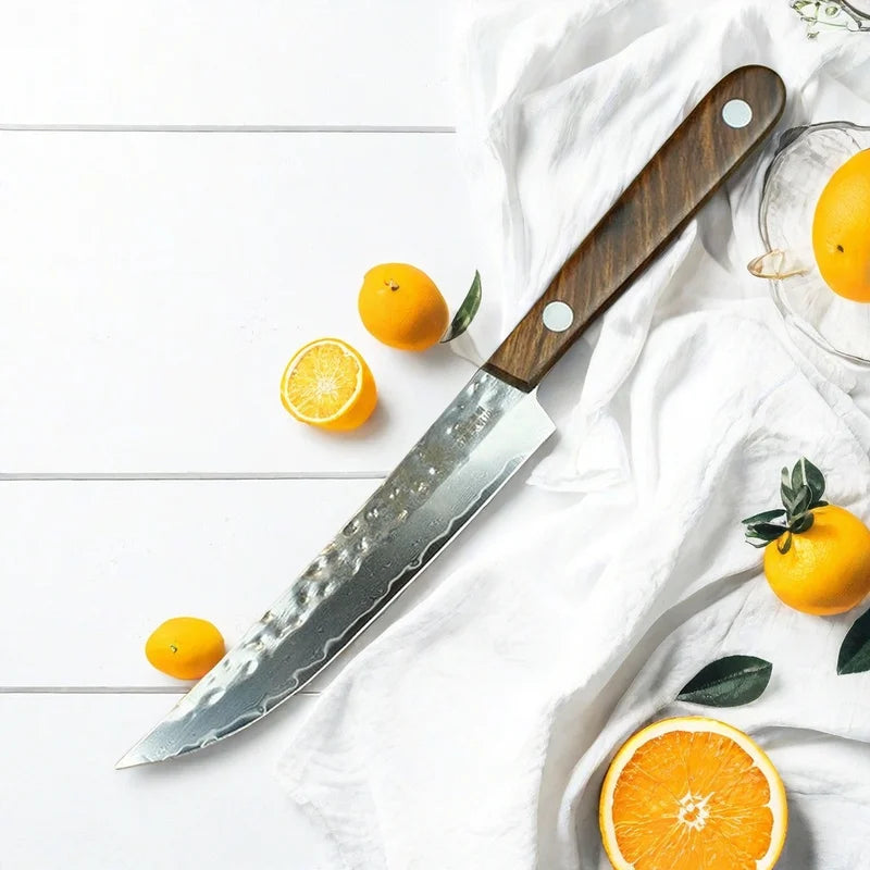 Forged Damascus Steel Fruit & Boning Knife with Solid Wood Handle - 67 Layers Kitchen Tool