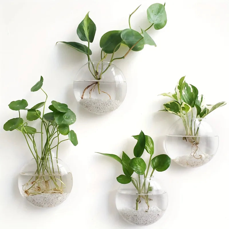Wall Hanging Glass Terrarium with Self-Watering Hydroponic System - Handmade Round Crystal Vase