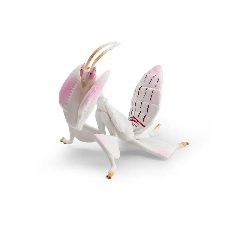 Simulation Insect Animal Model Deroplatys Desiccata Orchid Flower Mantis Action Figure Educational Toy