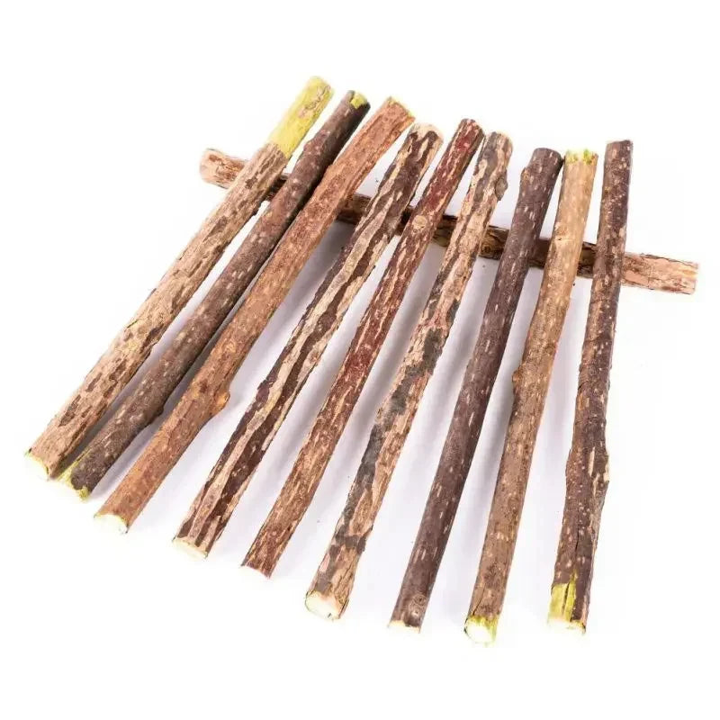 Natural Silvervine Chew Sticks for Cats Teeth Cleaning & Training - Kitten Teething Toy with Catnip Teaser