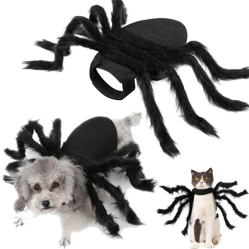 Halloween Pet Costume Spider Outfit for Small & Medium Dogs & Cats - Funny Cosplay