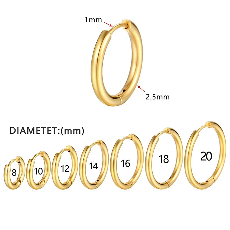 Stainless Steel Hoop Earrings for Women - 2.5mm Thick Classic Huggie Jewelry