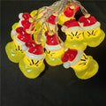 Holiday String Lights for Indoor Outdoor Decor - Battery & USB Options