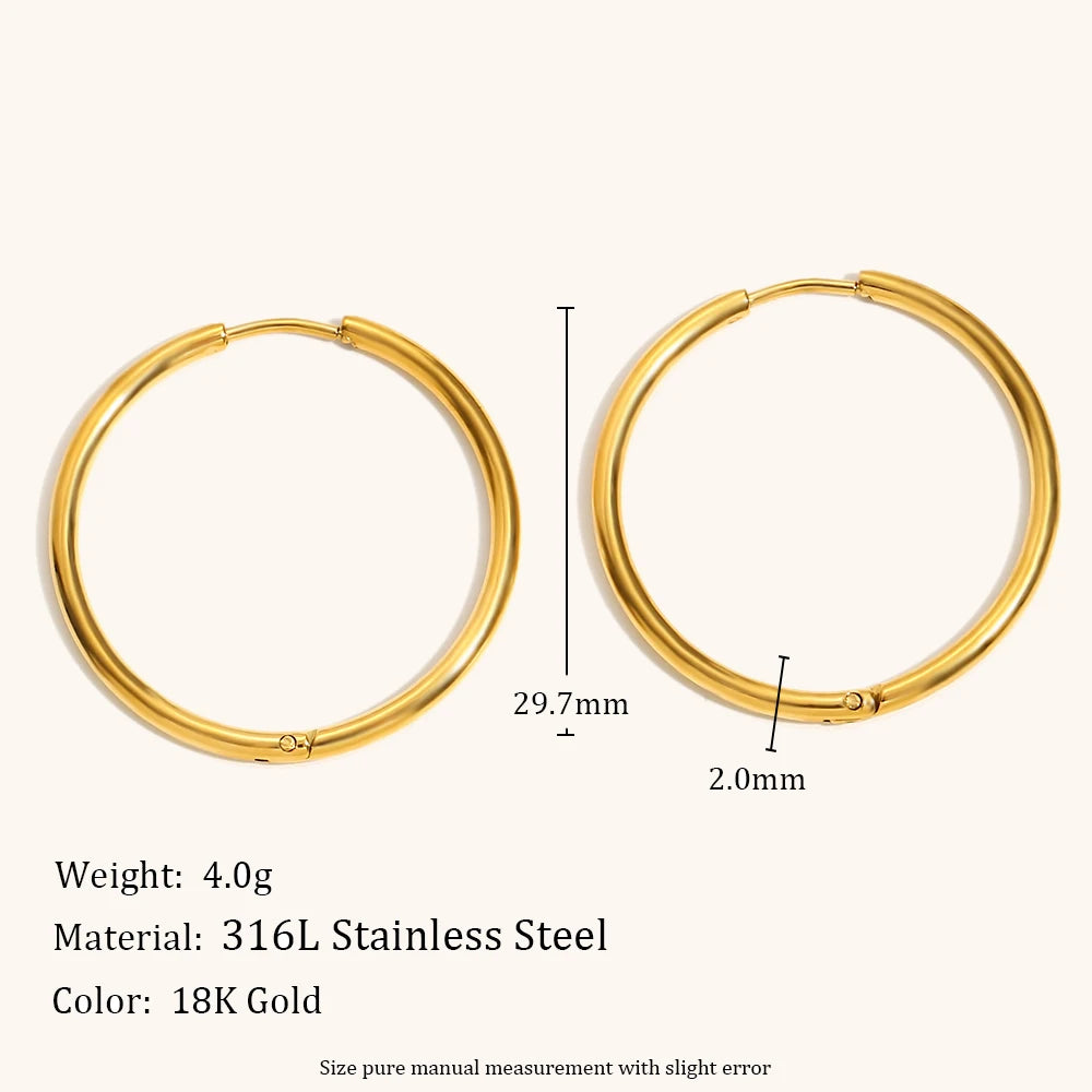 Stainless Steel Hoop Earrings for Women - Hypoallergenic & Waterproof Jewelry