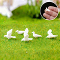 6pcs Miniature Bird Model Set for Scene Decoration and Crafting - Simulation Pigeon Animal Accessories
