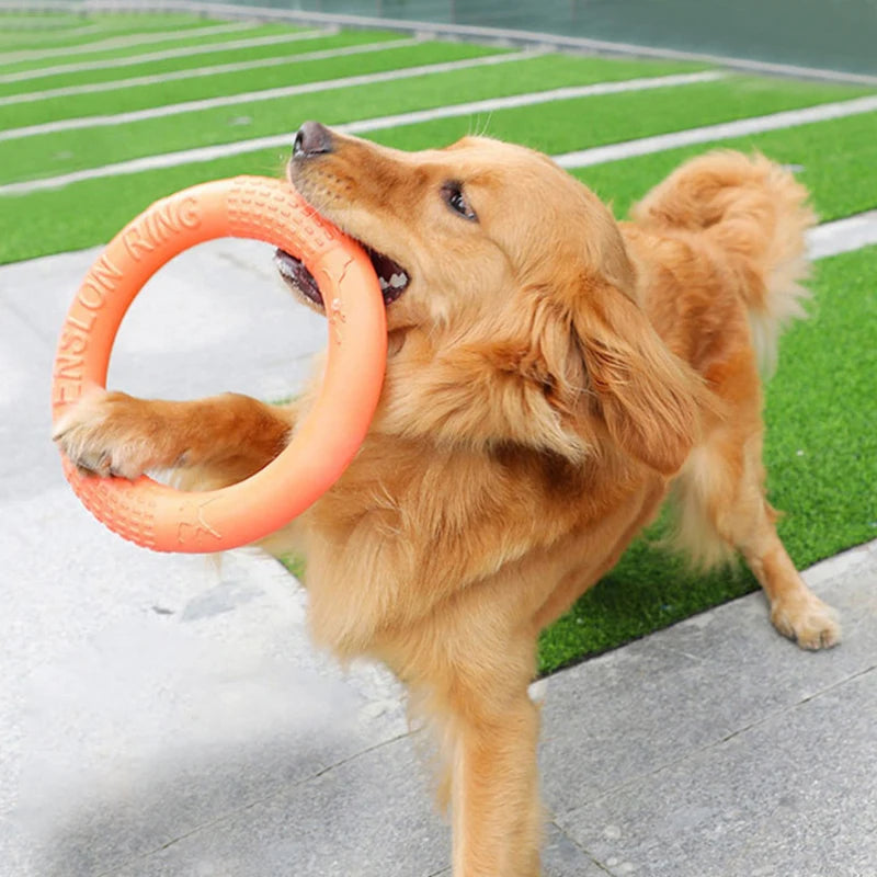 Dog Flying Disk Toy Interactive Training Ring EVA Resistant Fetch Ring