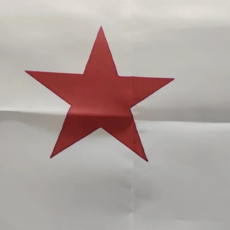 California Flag Polyester Banner 150x90cm for Wall Decor & Themed Events